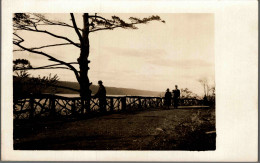 NEW-YORK 1930's - Rare Carte-photo De Belmont Park (Queens) - Parks & Gardens