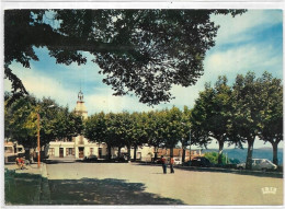 D 83. MONTAUROUX. LA PLACE DU CLOS.  CARTE ECRITE - Montauroux