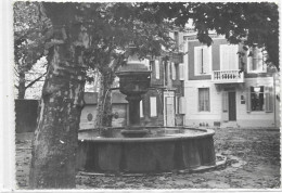 D 83. NANS LES PINS. PLACE DE VERDUN.  CARTE ECRITE - Nans-les-Pins