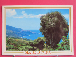 Visuel Très Peu Courant - Espagne - Islas Canarias - La Palma - La Tosca - Barlovento - Excellent état - La Palma