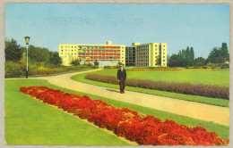 Venlo *** Julianapark De Beerendonck - 1962 - Venlo
