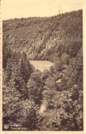 BELGIQUE - Houffalize - Trous De Brisy - Carte Postale Ancienne - Houffalize