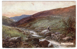 DARTMOOR - Near Okery Bridge - Artist G.H. Jenkins - Tuck Oilette 7633 - Dartmoor