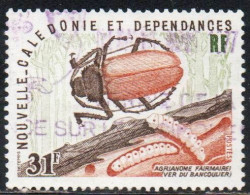 NOUVELLE CALEDONIE NEW NUOVA CALEDONIA 1977 INSECTS BEETLE AND LARVAE 31fr OBLITERE' USED USATO - Used Stamps