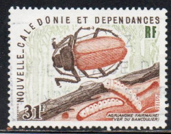 NOUVELLE CALEDONIE NEW NUOVA CALEDONIA 1977 INSECTS BEETLE AND LARVAE 31fr OBLITERE' USED USATO - Used Stamps