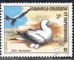 NOUVELLE CALEDONIE NEW NUOVA CALEDONIA 1976 SEA BIRDS SULA BLUE FACED BOOBY 2fr OBLITERE' USED USATO - Gebraucht