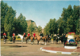 62  Le Touquet Paris Plage - Attelage De Chevaux - Le Touquet