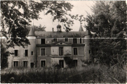 91 . BOISSY LA RIVIERE . LE CHATEAU    ( Trait Blanc Pas Sur Original ) - Boissy-la-Rivière