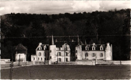 91 . BOISSY LA RIVIERE . DOMAINE DE BIERVILLE . LE CHATEAU  ( Trait Blanc Pas Sur Original ) - Boissy-la-Rivière