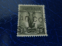 Australia - Oiseau Lyre - 1s. - Yt 118 - Vert-gris - Oblitéré - Année 1937 - - Gebraucht