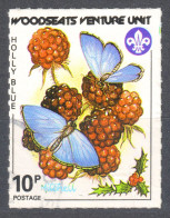 Scout SCOUTS Post Sheffield / Butterfly Butterflies Holly Blue  VIGNETTE LABEL CINDERELLA BRITAIN ENGLAND - Used Stamps