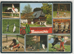 Grafenhausen, Gasthof "Tannenmühle", Hochschwarzwald, Baden-Württemberg - Hochschwarzwald