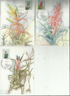 DDR MC*3 1988 BLUMEN - Maximumkarten (MC)