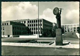 VX330 - ROMA CITTA' UNIVERSITARIA - 1957 - Educazione, Scuole E Università