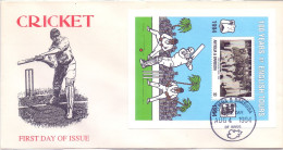 1994 Antigua And Barbuda 100 Years Of English Tour To WI 1v Beautiful SS FDC Vintage Cricket Team - Cricket