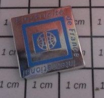 611B Pin's Pins / Beau Et Rare / EDF / ELECTRICITE DE FRANCE INTERNATIONAL - EDF GDF