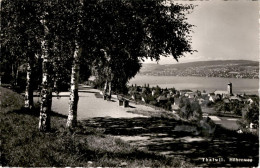 Thalwil - Höhenweg (10213) * 17. 10. 1958 - Thalwil