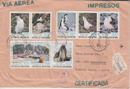 Argentina Registered Cover With "Antarctica Animals" Ca Buenos Ares 20 JUN 1981 (58738) - Antarctische Fauna