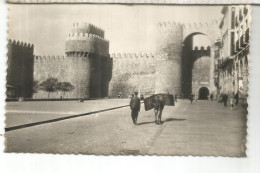 AVILA PUERTA ALCAZAR ESCRITA - Ávila