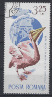 Roemenie Romania Romana Used ; Pelikaan Pelican Pelicano NOW MANY ANIMAL STAMPS - Pelícanos