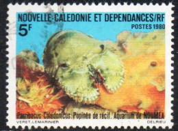 NOUVELLE CALEDONIE NEW NUOVA CALEDONIA 1980 NOUMEA AQUARIUM CRUSTACEA PARRIBACUS CALEDONICUS 5fr OBLITERE' USED USATO - Used Stamps