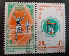 Egypte > 1953-... . République > 1970-79 > Oblitérés N°  974/75 - Usati