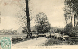 - NEUVY-SAUTOUR (89) -  Les Moutons Et Berger Au Bord Du Créanton, à Boulay  -25493- - Neuvy Sautour