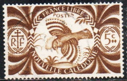 NOUVELLE CALEDONIE NEW NUOVA CALEDONIA 1942 KAGUS 5c USED OBLITERE' USATO - Used Stamps