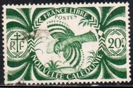 NOUVELLE CALEDONIE NEW NUOVA CALEDONIA 1942 KAGUS 20.00fr USED OBLITERE' USATO - Used Stamps