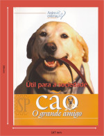 Portugal 1998 Guia Pedagógico Dos Animais De Estimação Cão O Grande Amigo útil Para A Sociedade N.º 3 Dog Animal - Práctico