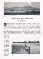 A102 1363 Frauenwörth Chiemsee Frauenchiemsee Artikel / Bilder 1910 - Sonstige & Ohne Zuordnung