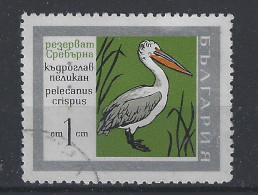 Bulgarije Bulgaria Used ; Pelikaan Pelican Pelicano NOW MANY ANIMAL STAMPS - Pellicani