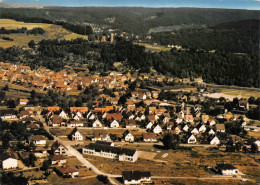 HELMARSHAUSEN Am Reinhardswald Die 1000jährige Stadt Im Diemeltal Ngl (2747) - Bad Karlshafen