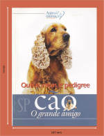 Portugal 1998 Guia Pedagógico Dos Animais De Estimação Cão O Grande Amigo Outras Raças E Pedigree N.º 5 Dog Animal Chien - Practical