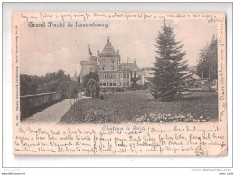 CPA LUXEMBOURG Chateau De Berg + Stamp Used Various Postmarks 1899 EARLY UNDIVIDED BACK Used - Luxembourg - Ville