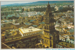 Mezquita De Cordoba  Patio De Los Naranjos Y Torre .. - Córdoba