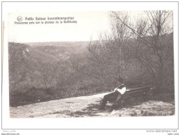 Luxembourg - Luxemburg - Petite Suisse Luxembourgeoise - Plateau De La Goldfralay - Echternach