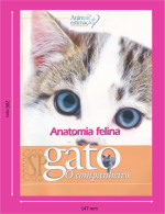 Portugal 1998 Guia Pedagógico Dos Animais De Estimação Gato O Companheiro Anatomia Felina N.º 24 Cats - Practical