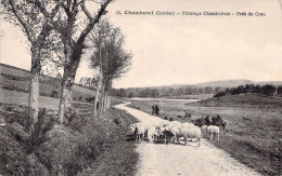 FRANCE - 19 - CHAMBERET - Pâturage Chambertois - Près De Crau - Moutons - Carte Postale Ancienne - Other & Unclassified