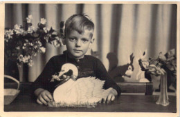 ENFANTS - Portrait - Jeune Garçon - Cygne - Carte Postale Ancienne - Portraits