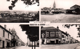 17747 RABASTENS DE BIGORRE  Vue Générale, Place Centrale, Route Des Pyrénées, De Mirande    (2 Scans)  65 - Rabastens De Bigorre