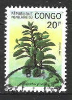 CONGO. N°897 Oblitéré De 1991. Kalanchoé Penné. - Plantes Médicinales