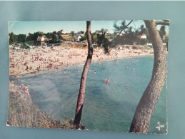 29  - KERFANY Les Pins  - La Plage - Circulé En 74   - Net  0,40 Euro - Moëlan-sur-Mer