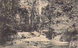 CONGO - Congo-Belge -  Un Coin De Forêt Du Mayumbe - Carte Postale Ancienne - Belgian Congo