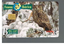 SPAGNA (SPAIN) - TELEFONICA  (CHIP) -  FAUNA IBERICA: BUBO BUBO        - USED - RIF. 10008 - Gufi E Civette