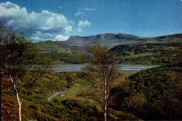 MERIONETSHIRE    ( PAYS DE GALLE )    CADER IDRIS FROM NEAR BONTDDU - Merionethshire