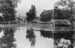 BRINON-sur-SAULDRE (Cher) - Bords De La Sauldre - Ecrit (voir Les 2 Scans) - Brinon-sur-Sauldre