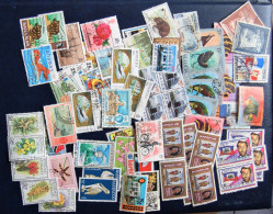 Caraibe Caribbean - Small Batch 70 Stamps From St Lucia, Bermuda , Bahamas, Barbados , Etc... - Lots & Kiloware (max. 999 Stück)