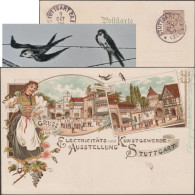 Wurtemberg 1896. Entier Postal Timbré Sur Commande. Exposition D'électricité, Raisins, Roses, Hirondelles Sur Câble - Golondrinas