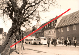 AK Calbitz Markt Bus Autobus Omnibus Haltestelle A Kötitz Großböhla Collm Malkwitz Dahlen Wermsdorf Luppa Oschatz DDR - Dahlen